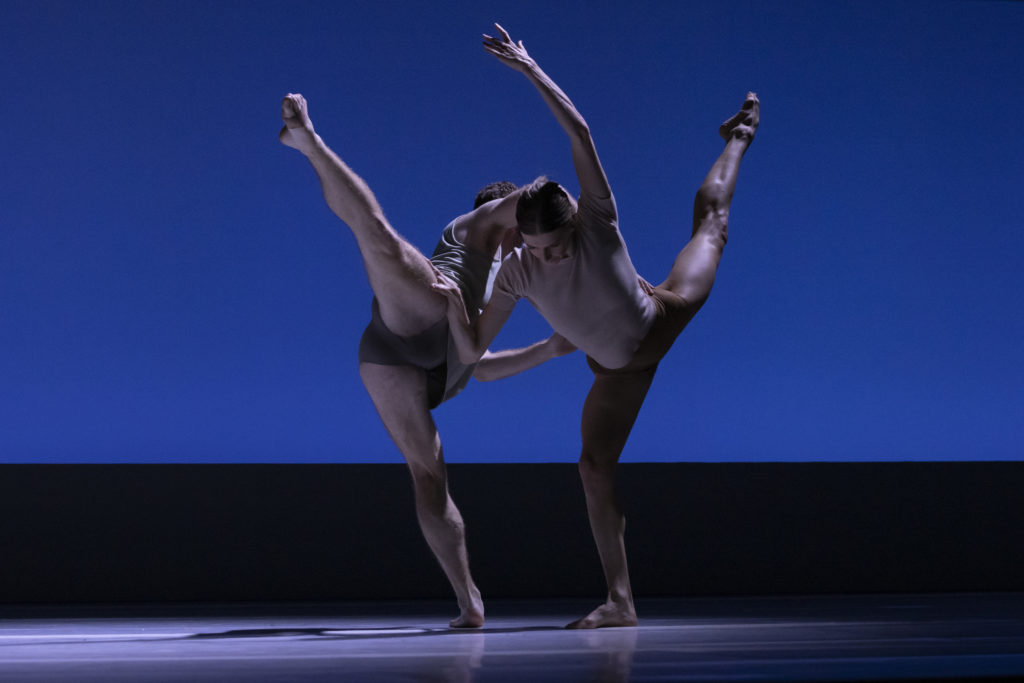 Sydney Dance Company