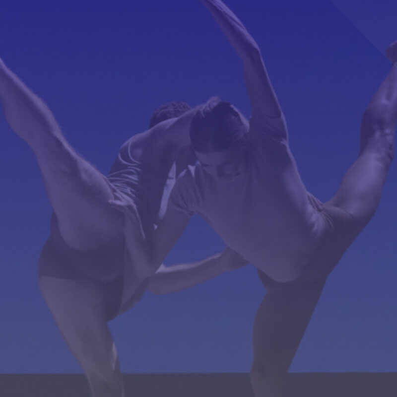 website-header-overlay